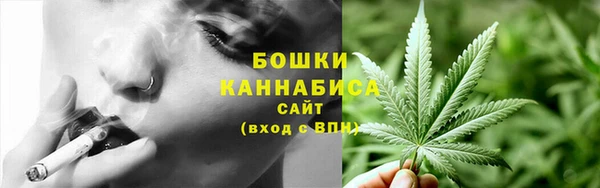 ГАЛЛЮЦИНОГЕННЫЕ ГРИБЫ Абаза