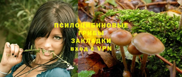 кокс Медвежьегорск