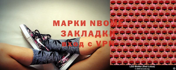 ГАЛЛЮЦИНОГЕННЫЕ ГРИБЫ Абаза