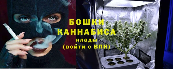 ГАЛЛЮЦИНОГЕННЫЕ ГРИБЫ Абаза