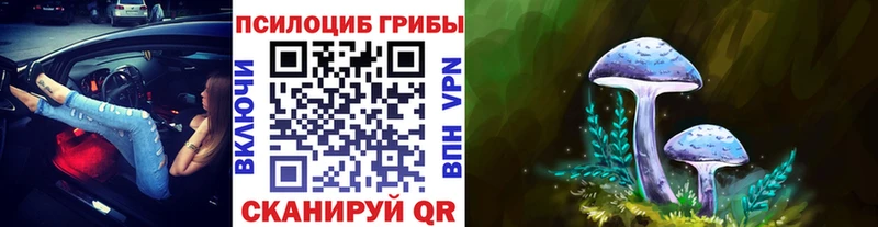 Галлюциногенные грибы мицелий  Стрежевой 